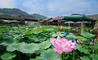 尚域园林夏季活动——游鲜龙井火锅公园